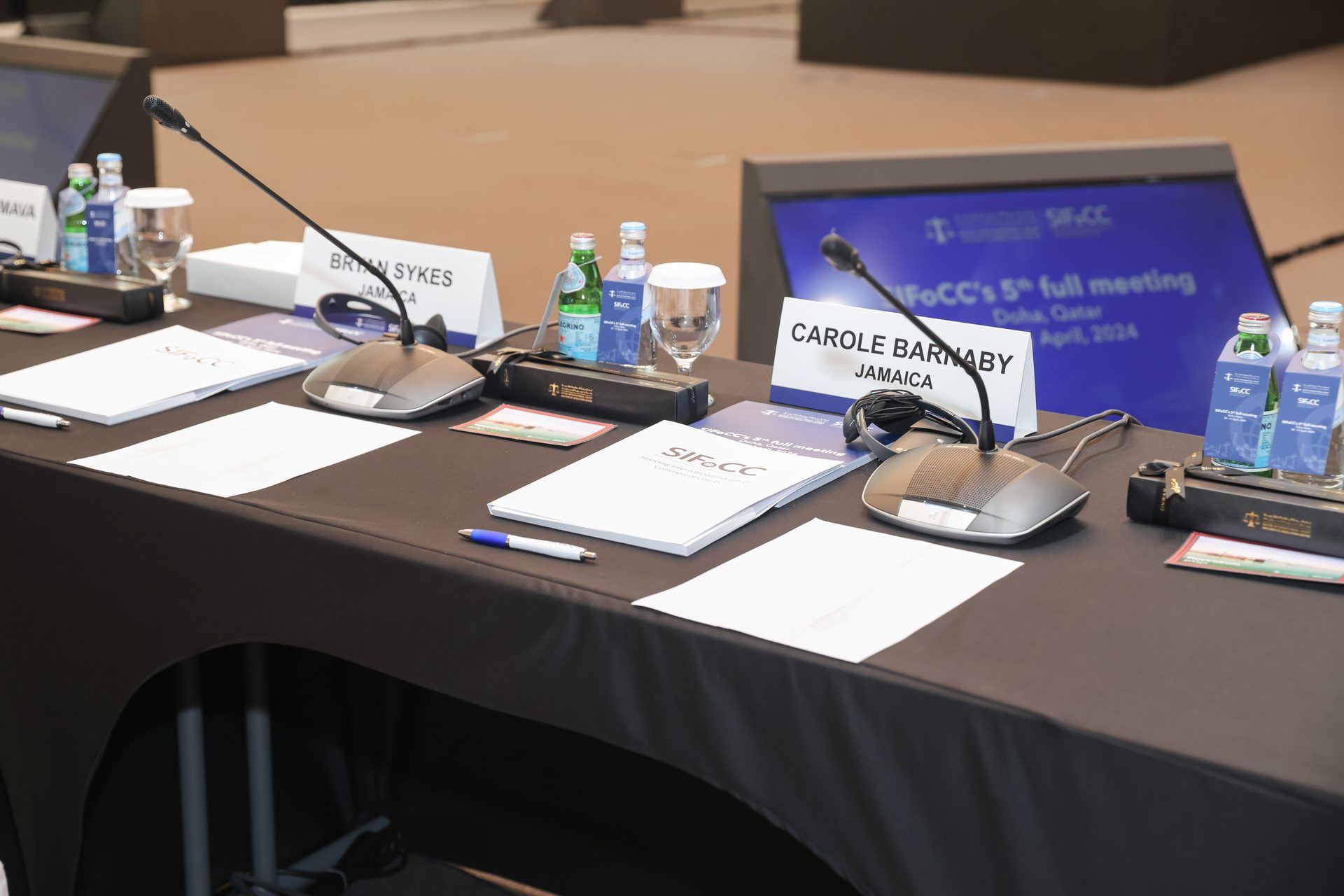 SIFoCC International Conference 7